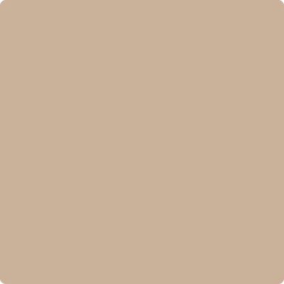 1082 Cream Soda
