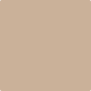 1082 Cream Soda