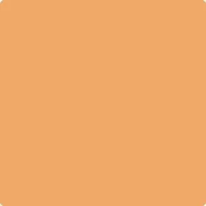 124 Orange Appeal