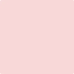 1338 Powder Blush