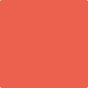 2010-30 Starburst Orange