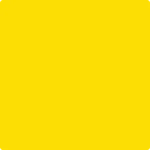 2022-30 Bright Yellow