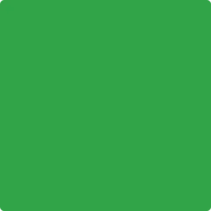 2030-10 Lizard Green
