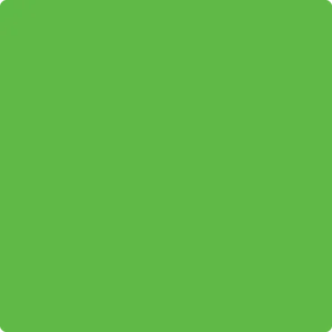 2030-30 Lucky Charm Green