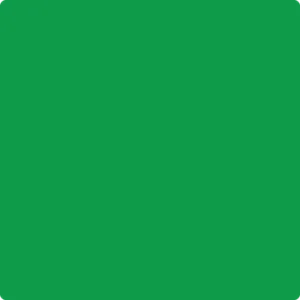 2033-20 Peppermint Leaf
