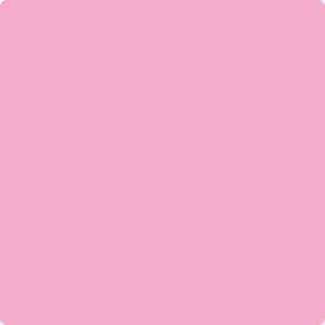 2079-50 Rhododendron