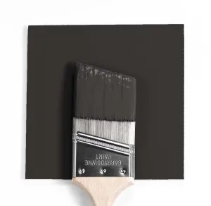 2128-10 Black Beauty