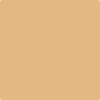 2160-40 Roasted Sesame Seeds