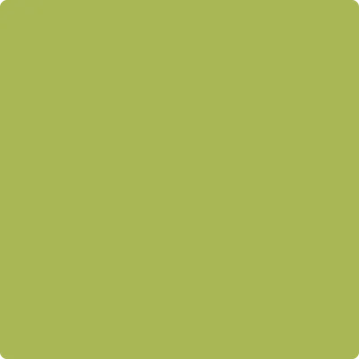 405 Perennial