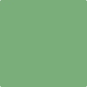 565 Aurora Borealis