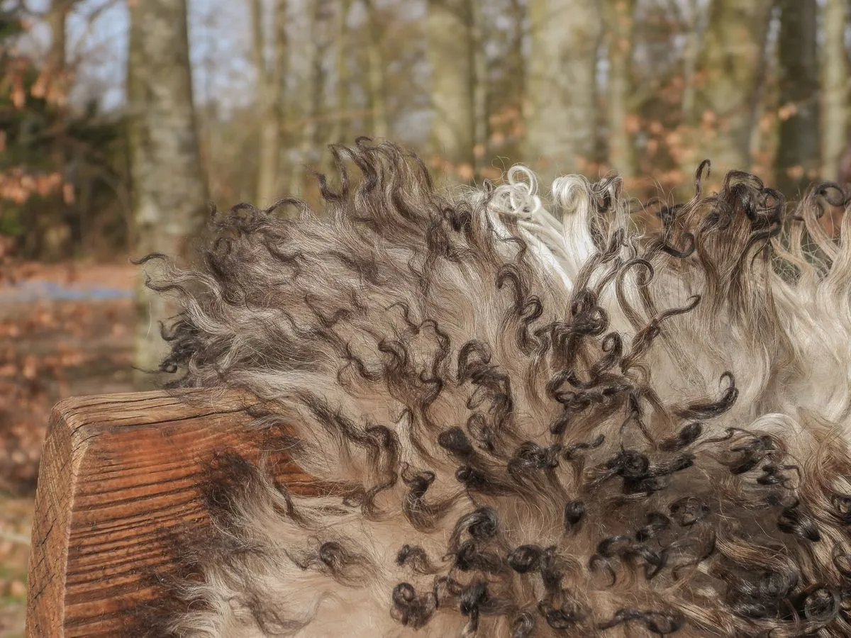 Austrian Sheepskin | Curly | Natural Colors | 90 cm