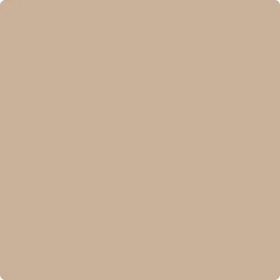 CC-366 Nubuck