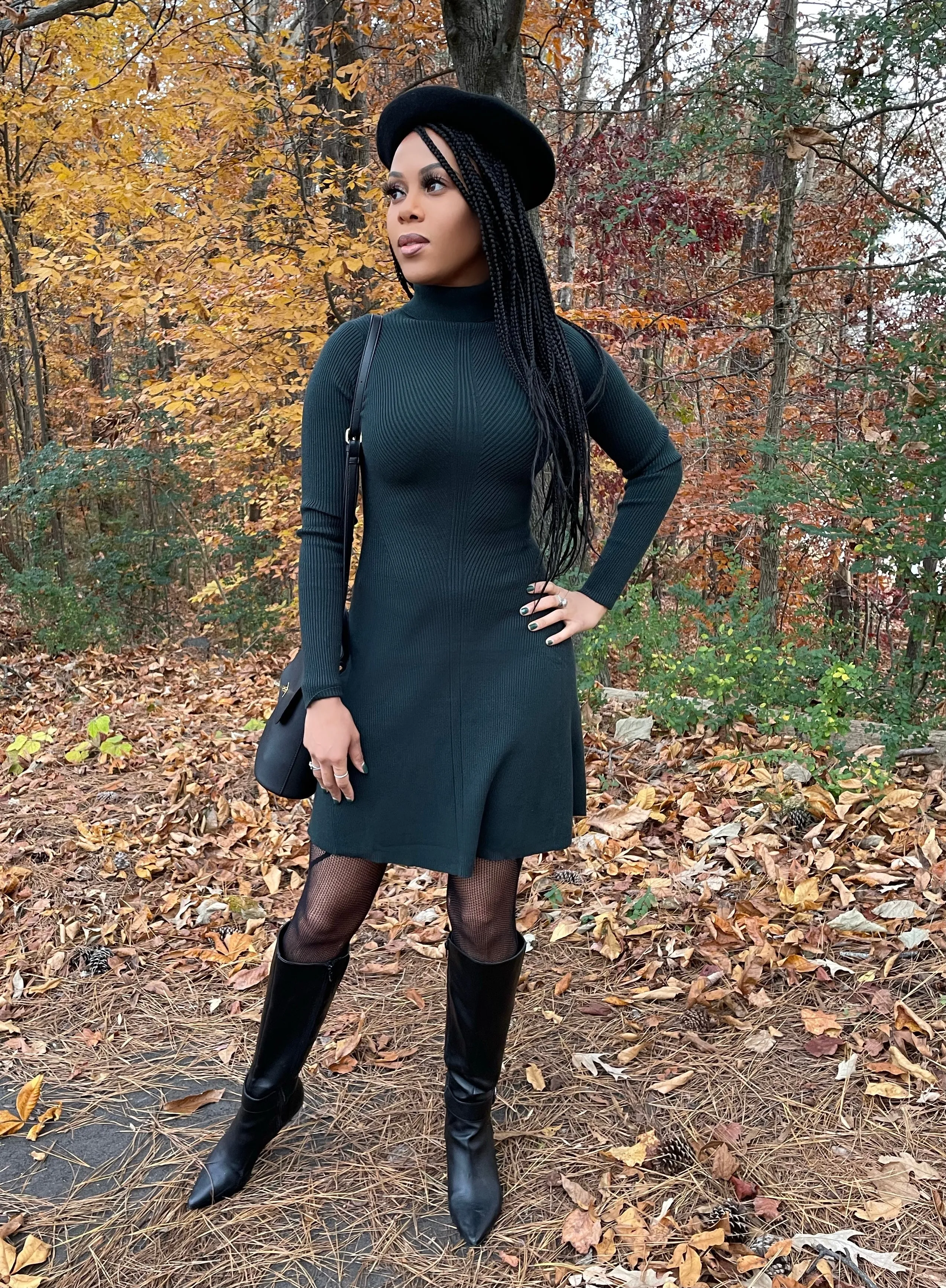 Farrah Turtleneck Knit Dress