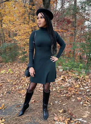 Farrah Turtleneck Knit Dress