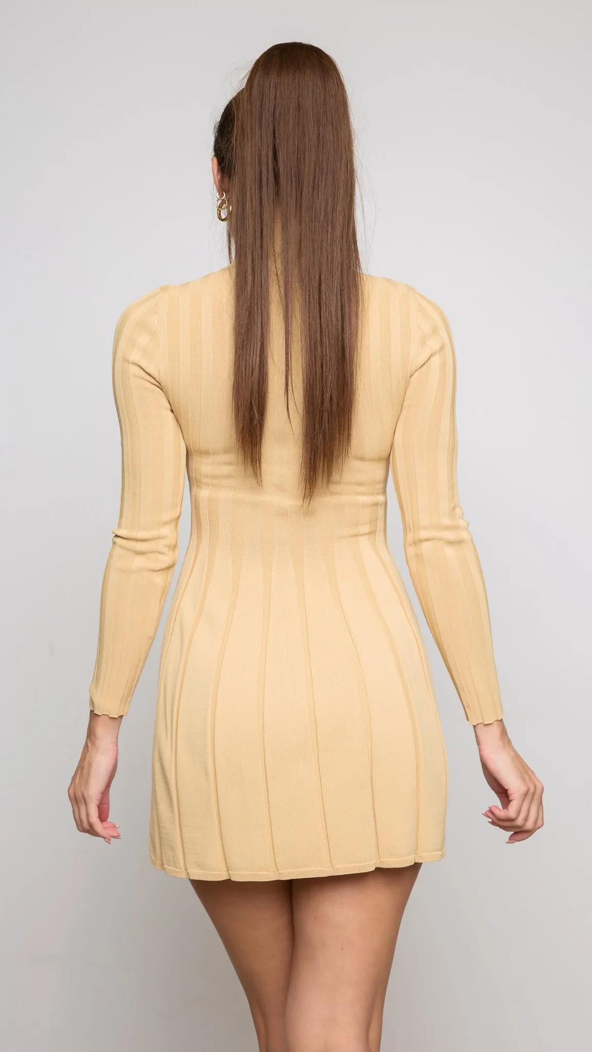 Hara Mini Dress