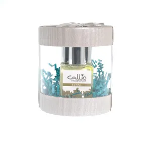 Perfume Gift Set