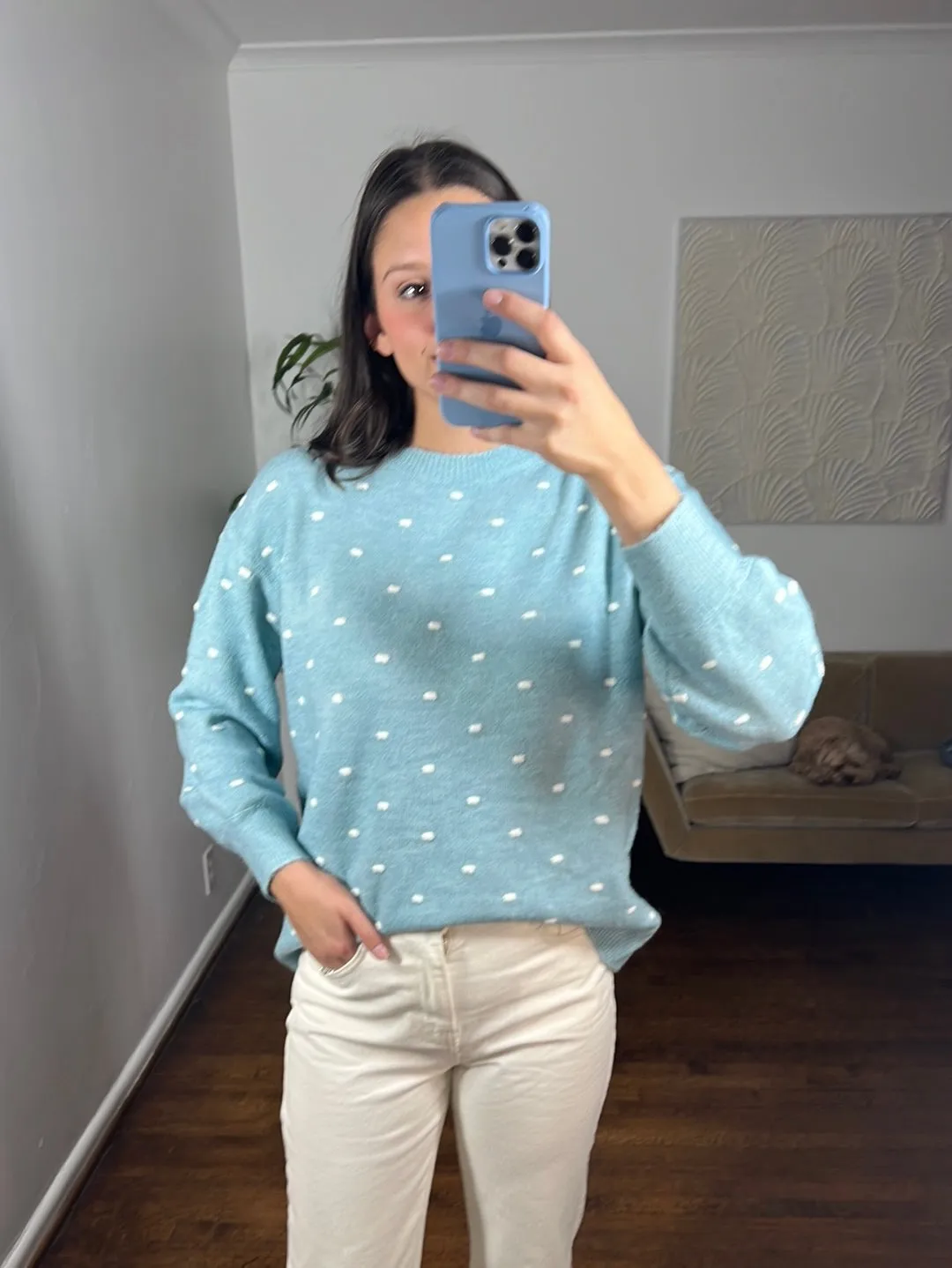 Polka Dot Pullover Sweater