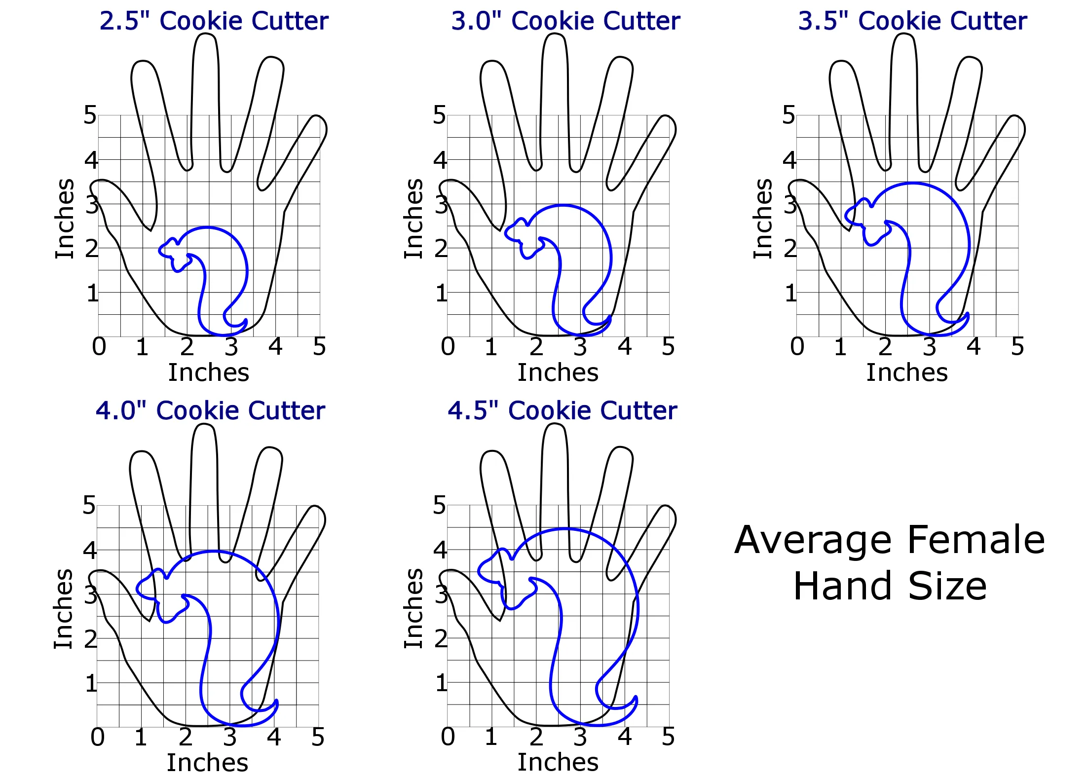 Ponytail Cookie Cutter